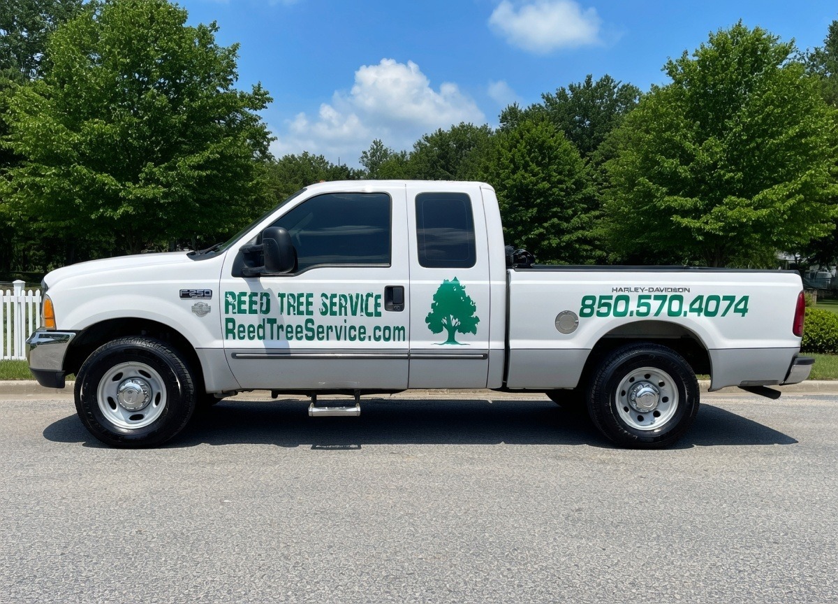 Reed Tree Service branded truck and equipment