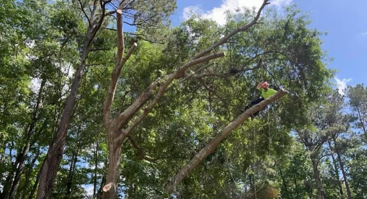 Tree Pruning